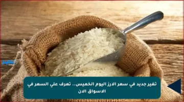 تغير جديد في سعر الأرز اليوم الخميس.. تعرف على السعر في الأسواق الآن